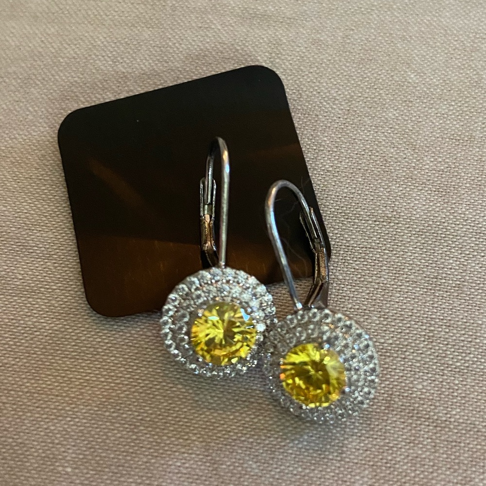 🌟 Host Pick 🌟 Diamonelle Lever Back Earrings